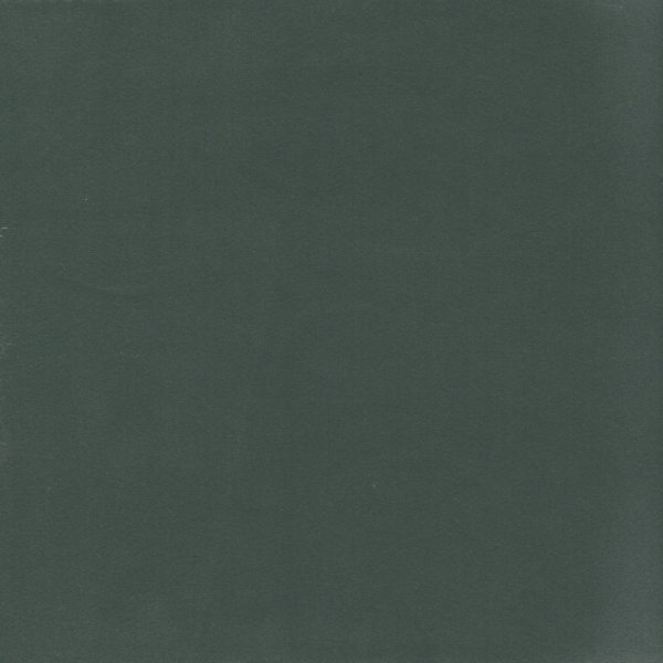 Verdant Sage Polyester Fabric by Fragment House.