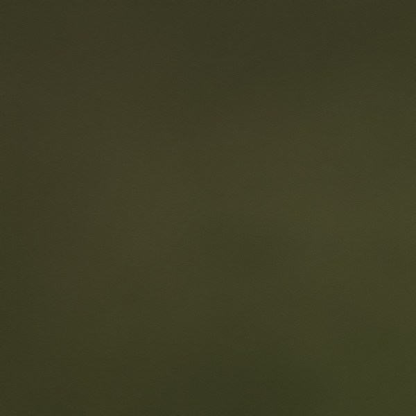 Corelia Forest Linen-Lyocell Fabric by Fragment House.