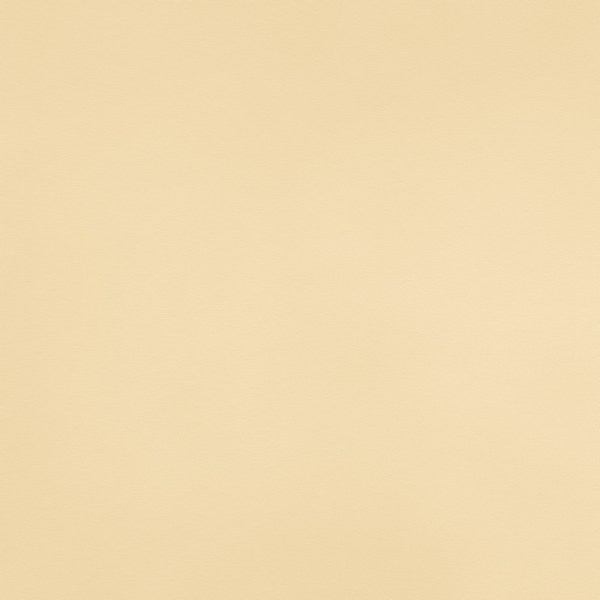 Camellia Ivory Linen-Lyocell Fabric by Fragment House.